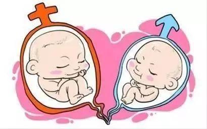 高龄代怀服务微信群生殖中心